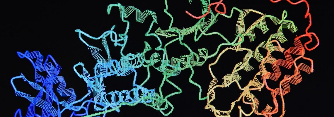 Image of Jordi Labs structure of the protein molecule.