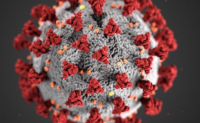 Coronavirus image from CDC