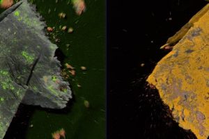 Images: Examples of how Jordi Labs identifies and understands the source of particulates through FTIR-microscopy, SEM-EDX and other techniques to identify particles, as well as provide information about shape, size and surface topography. This is critical to controlling their spread.