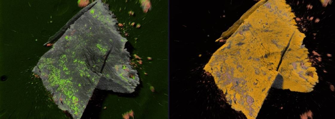 Images: Examples of how Jordi Labs identifies and understands the source of particulates through FTIR-microscopy, SEM-EDX and other techniques to identify particles, as well as provide information about shape, size and surface topography. This is critical to controlling their spread.