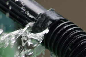 乔迪实验室聚合物失乐动体育登录效分析图像